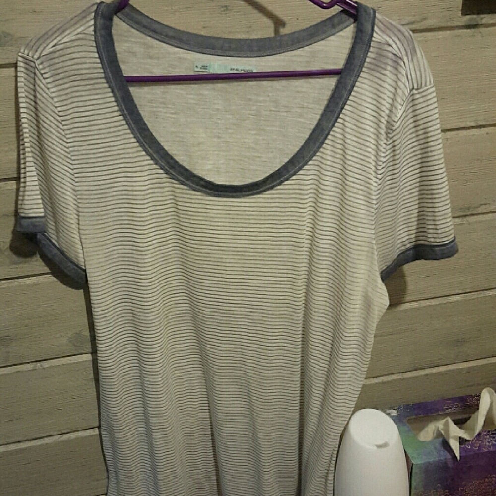 Maurices shirts