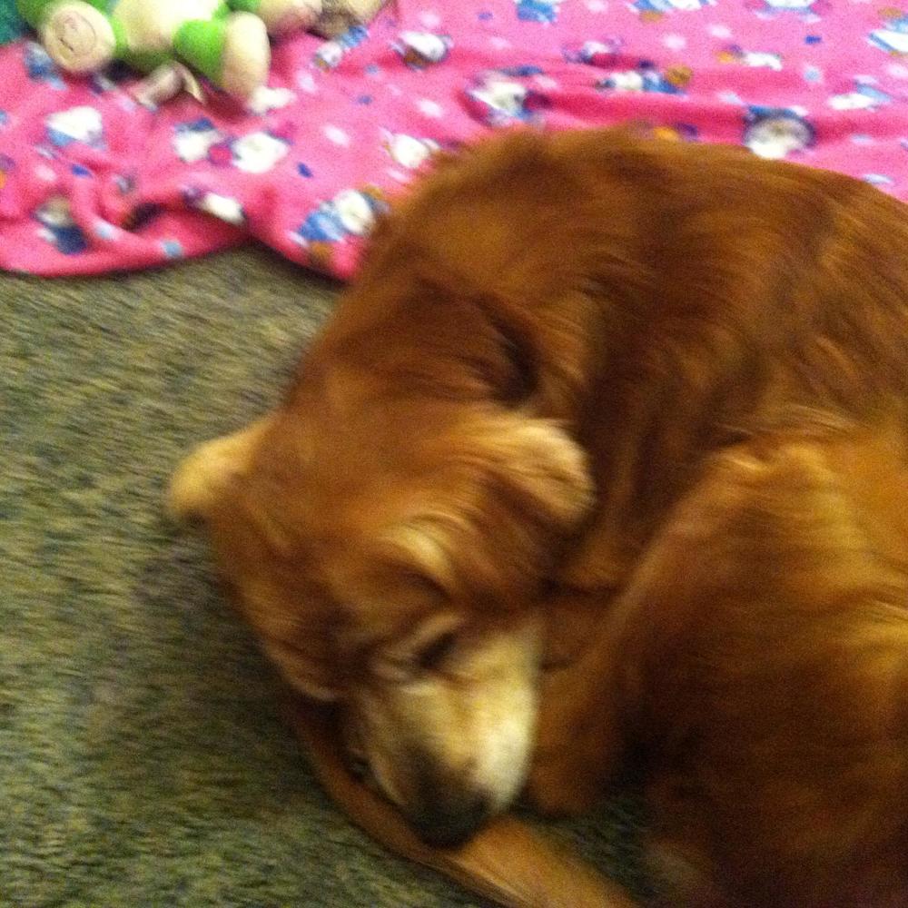 Meet your Posher, Renae