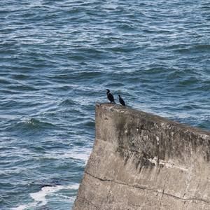 Meet your Posher, Jun