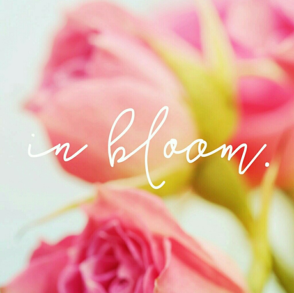 Just Your Typical Ray Of Sunshine ????