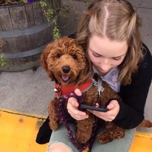 Meet your Posher, Annie