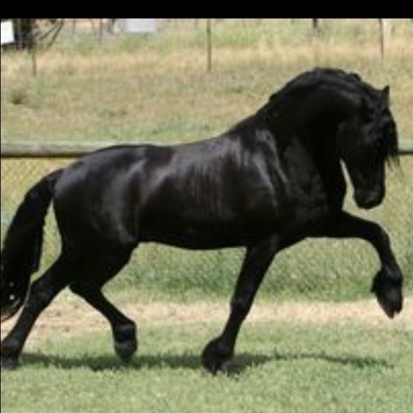 Meet your Posher, Jimmy - Picture 1 of 1