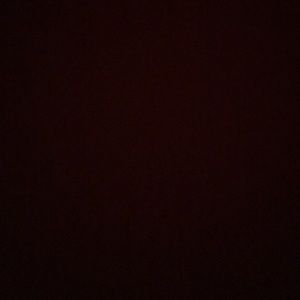 Meet your Posher, Rico