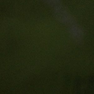 Meet your Posher, Noah