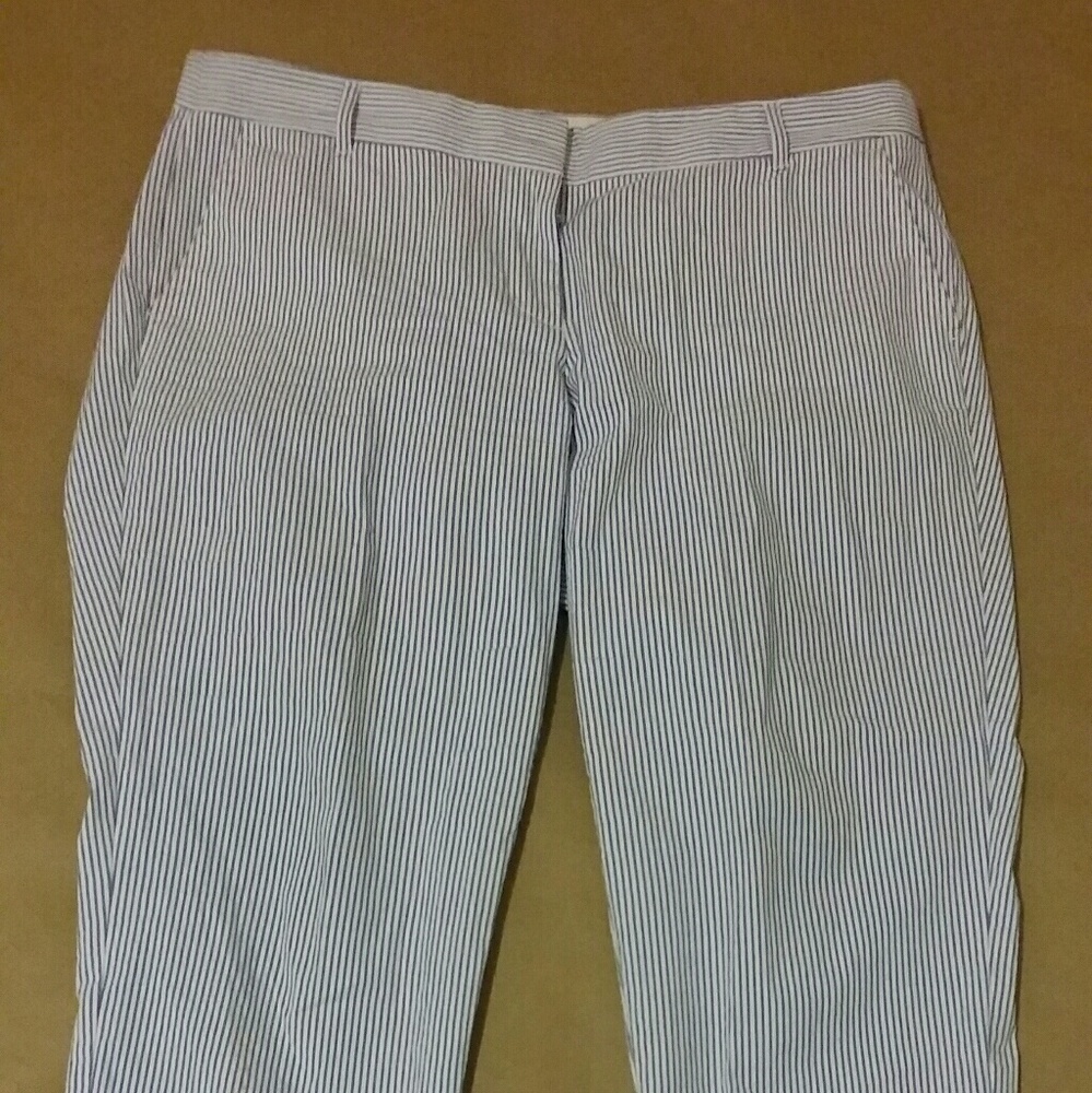 J Crew Slacks Blue and White Pin Stripe