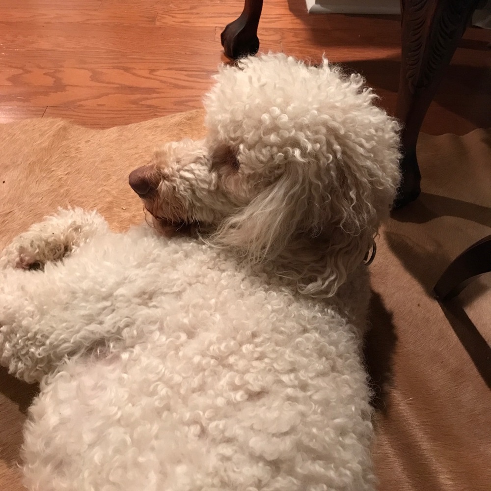 Meet your Posher, Jane