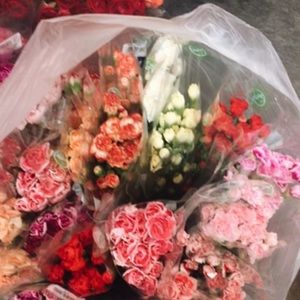 Meet your Posher, Sasha