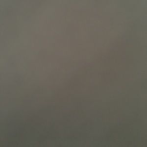 Meet your Posher, Kassidy