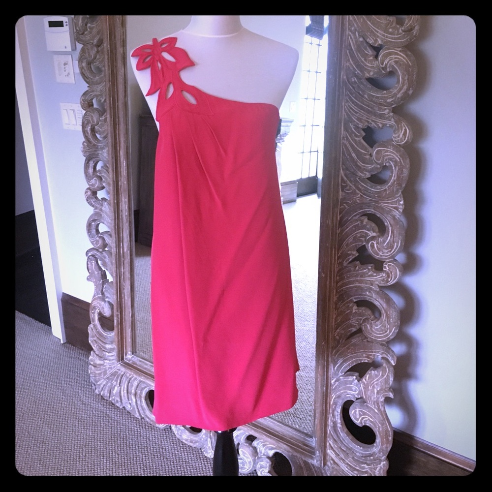Amazingly Beautiful TIBI Dress