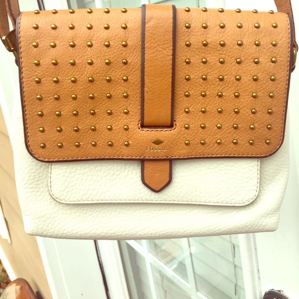 Fossil Satchel