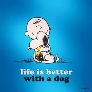 Meet your Posher, U-lyn