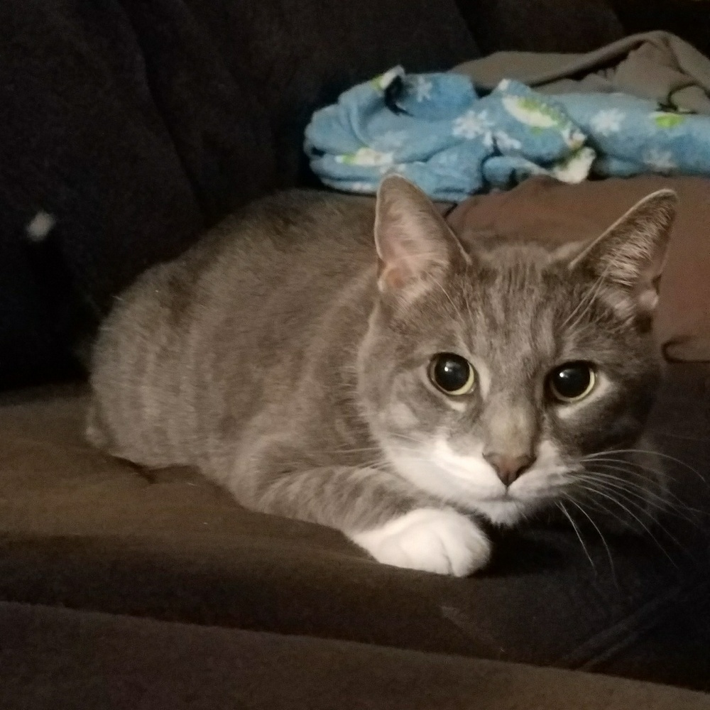 Meet your Posher, Alex