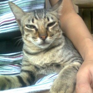 Meet your Posher, Marie