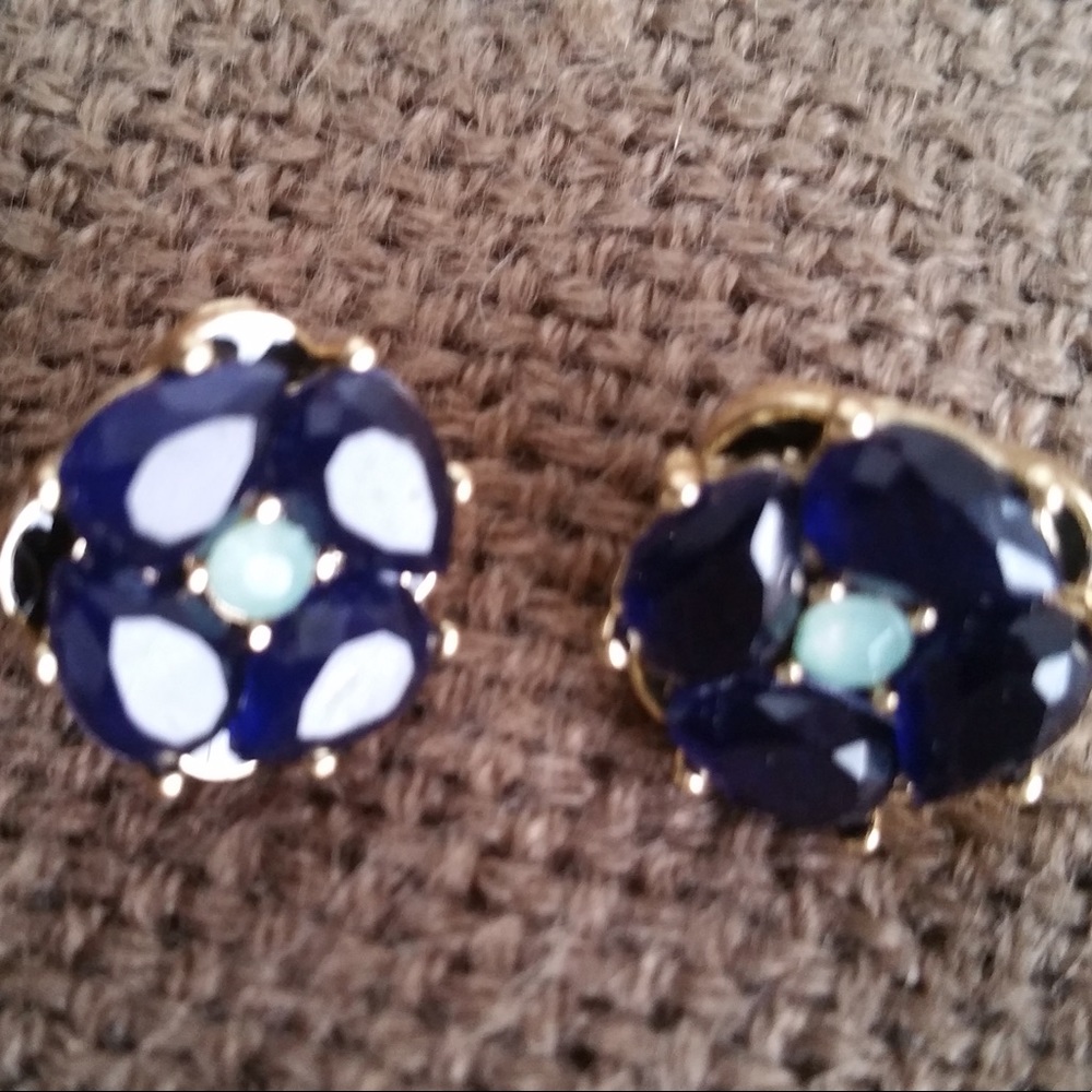 Deep Blue Crystal and Golden Stud Earrings