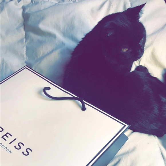 Meet your Posher, Kristen - Picture 4 of 4