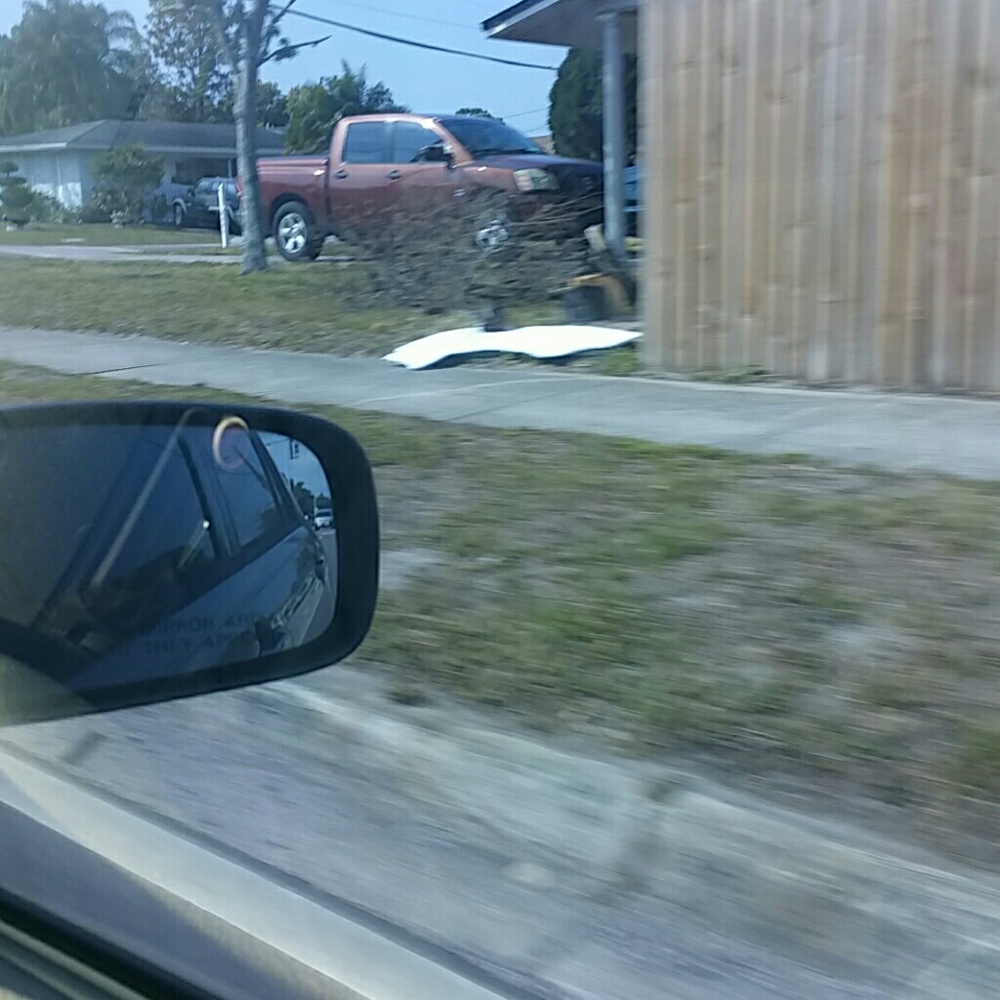 Meet your Posher, Rose