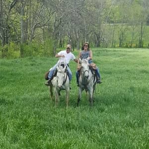 Meet your Posher, Monica