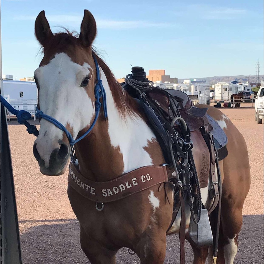 Meet your Posher, Yvonne