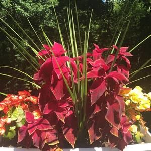 Meet your Posher, Rita