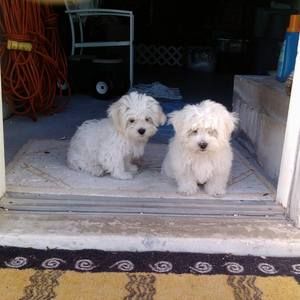 Meet your Posher, Stacie