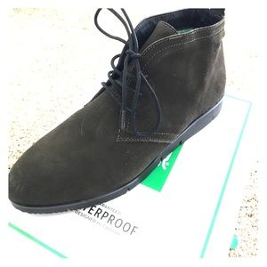 Cougar "Snack" boogie