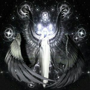 Meet your Posher, Shayla