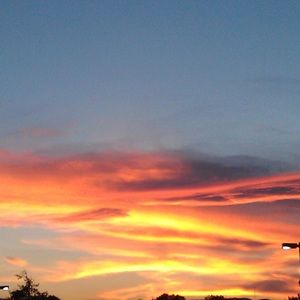 Meet your Posher, Lauran