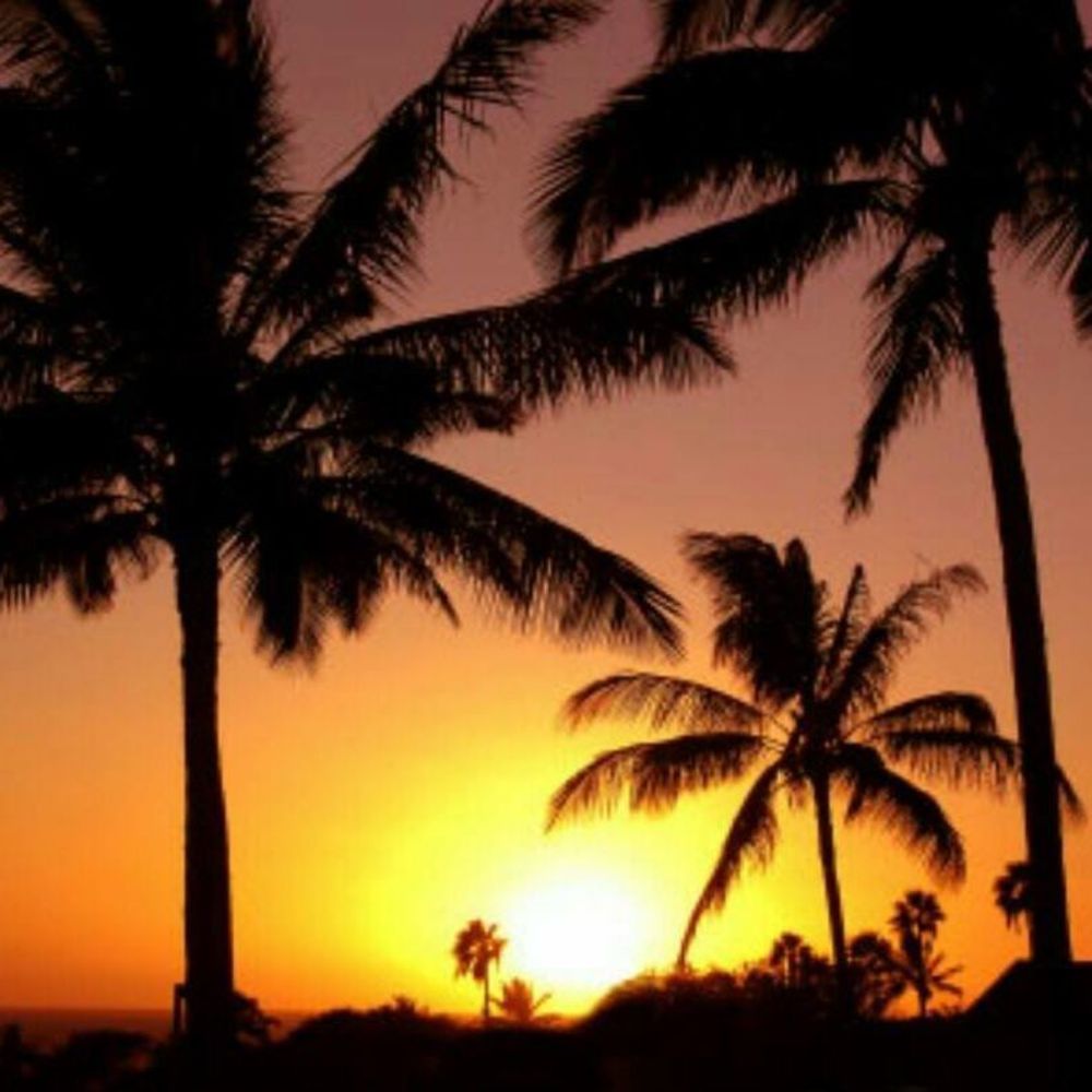 Meet your Posher, Teffannie