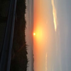 Meet your Posher, Isabella