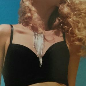 ISO WANTED ALERT!!!! Bebe Chevron Fringe long necklace