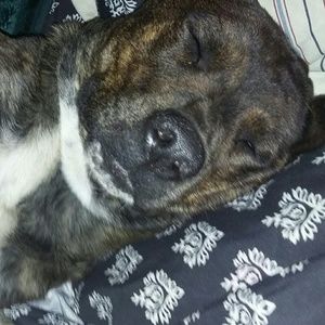 Meet your Posher, Colleen