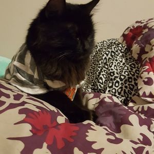 Meet your Posher, Jill