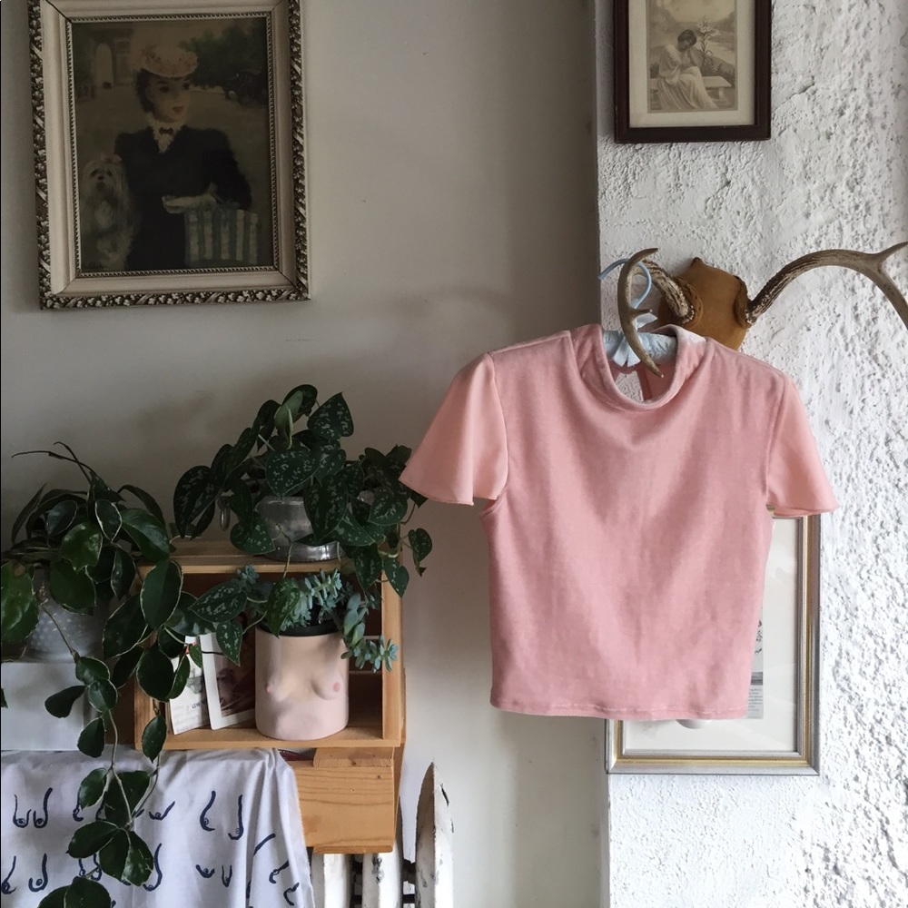 Baby Pink Velvet Crop Top
