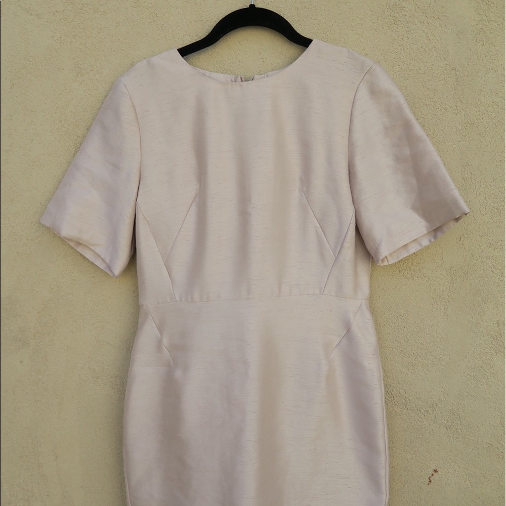TopShop Champagne colored dress