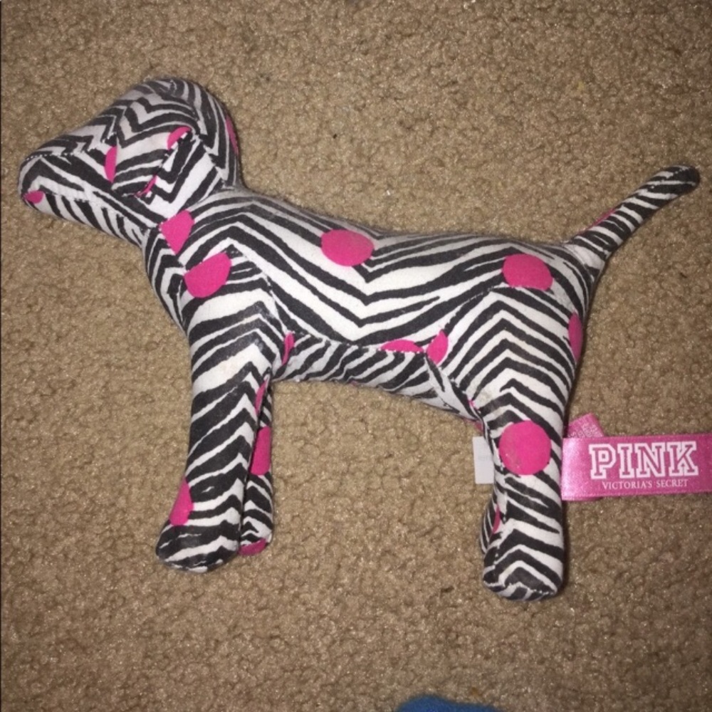 VS Dog