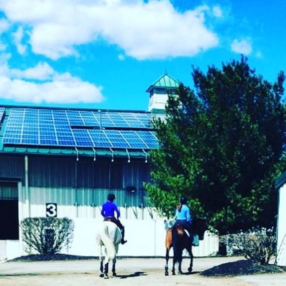 Meet your Posher, Abigail - Picture 1 of 1