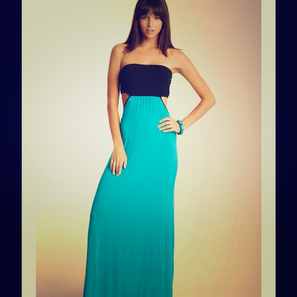 NWT Josh Brody maxi dress