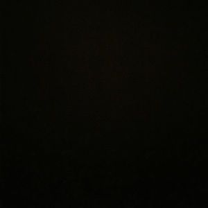 Meet your Posher, Willy