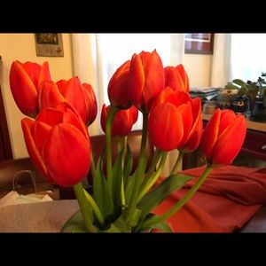 Meet your Posher, Paula