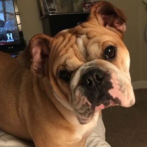 Don't like the price?