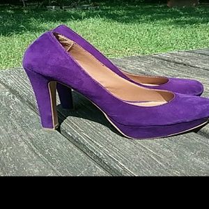 HOT Steve madden purple suede pump