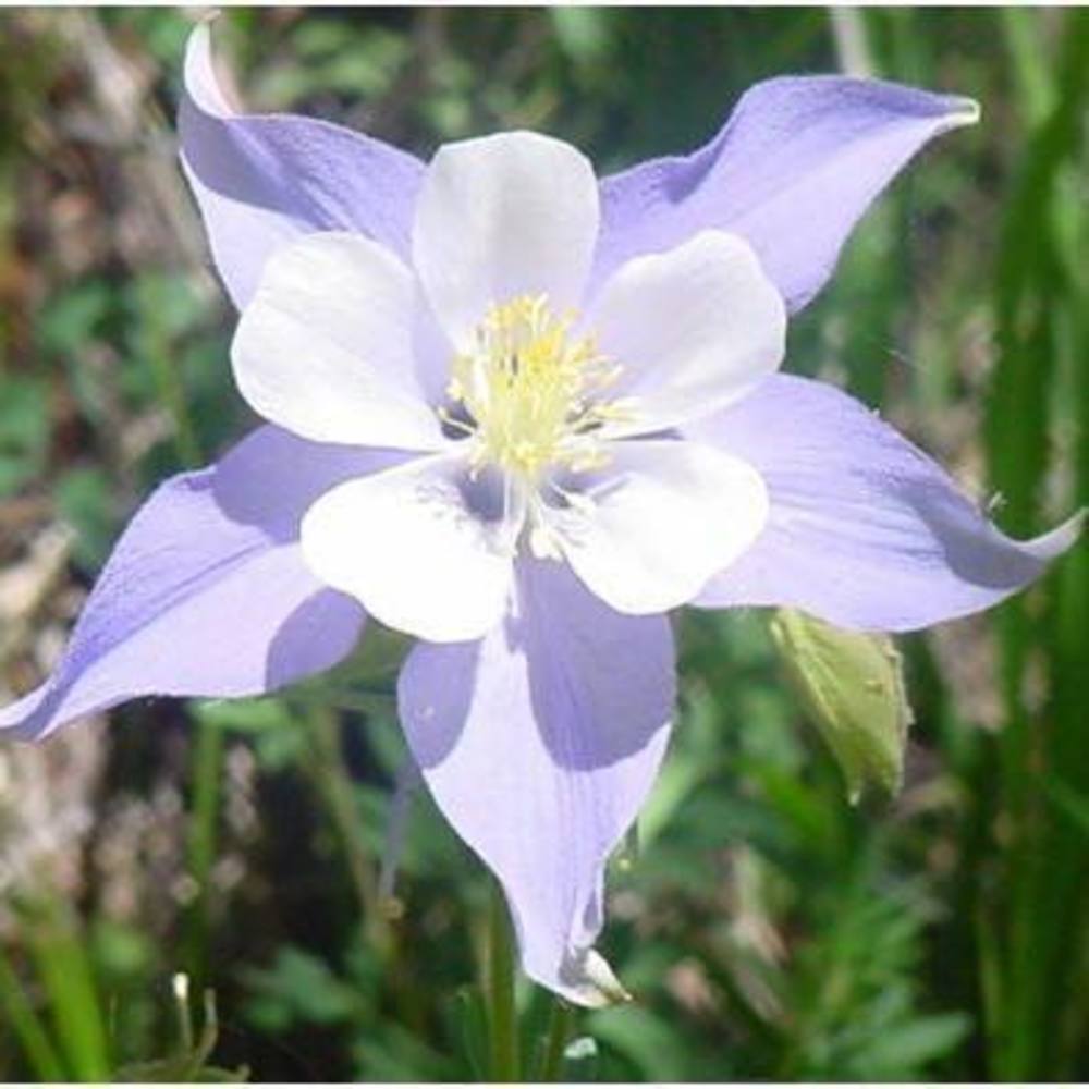 Meet your Posher, Ann-marie