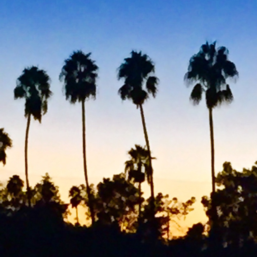 Meet your Posher, Pam