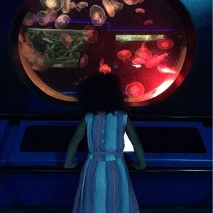 Meet your Posher, Dana