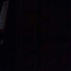 Meet your Posher, Jazmine