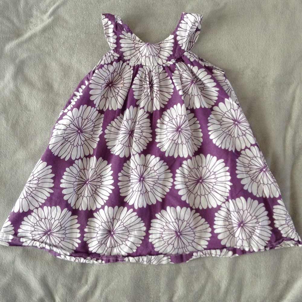Stella Cove Dress