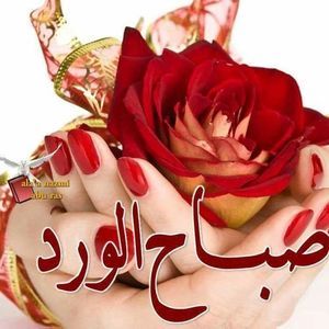 Meet your Posher, Samah