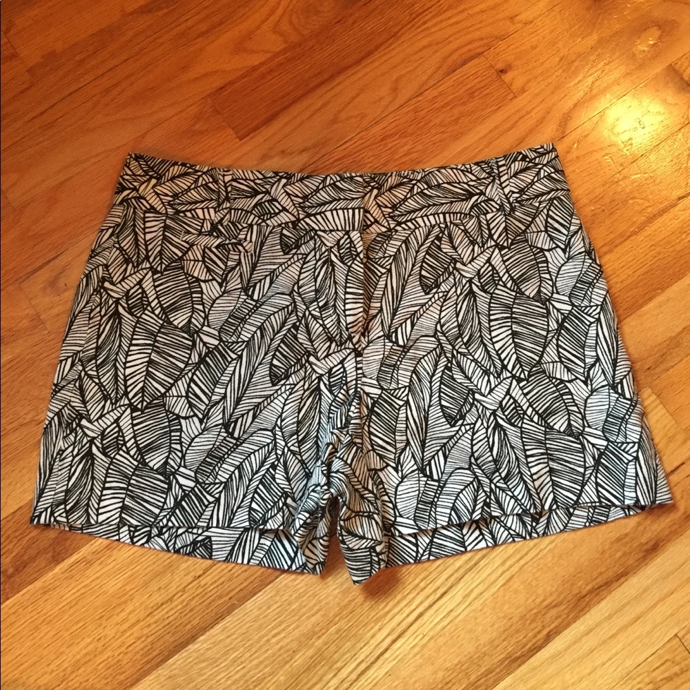 Black & White LOFT Feather Printed Shorts