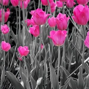 Meet your Posher, Joan