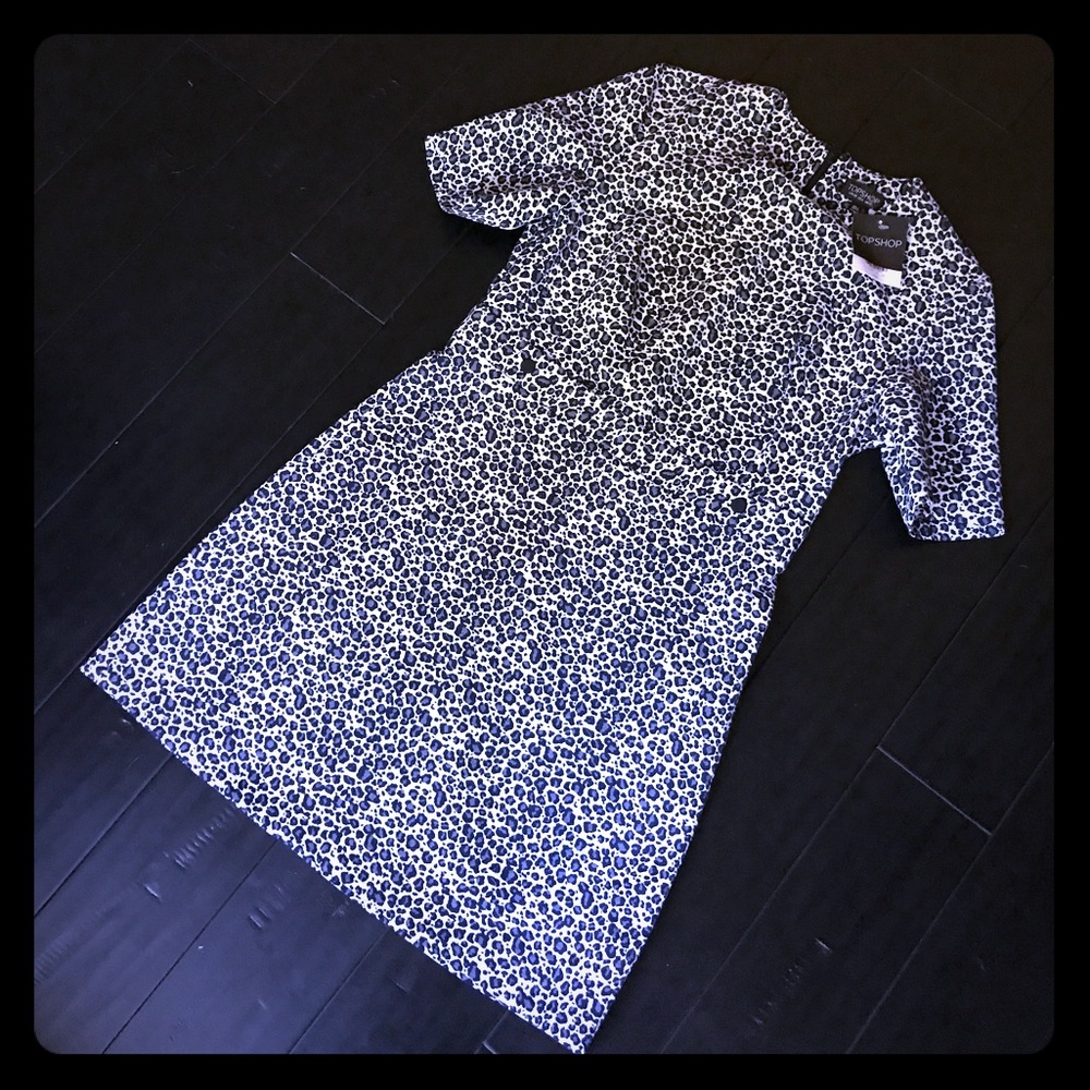 Leopard Print Top Shop Dress
